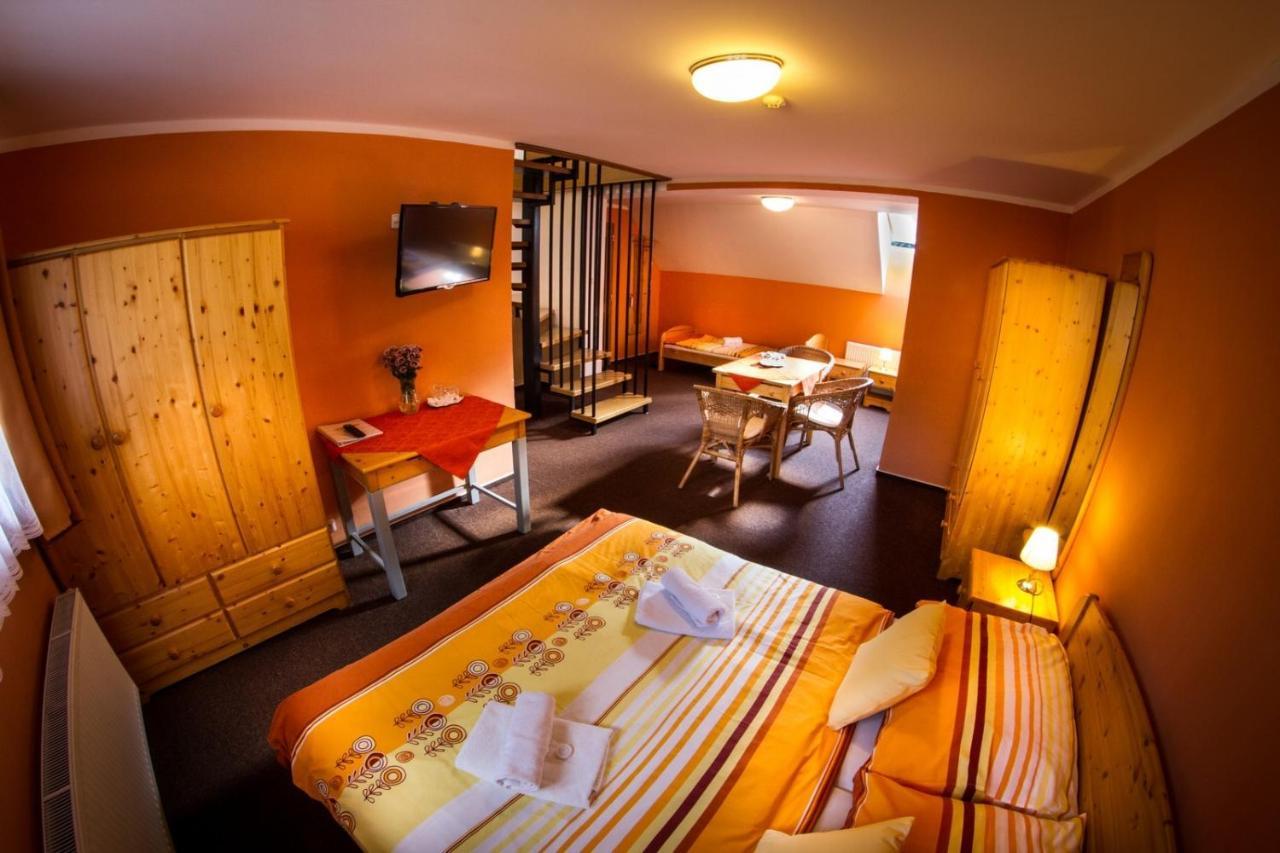 Horsky Hotel Snezenka Hyncice pod Susinou Exterior photo