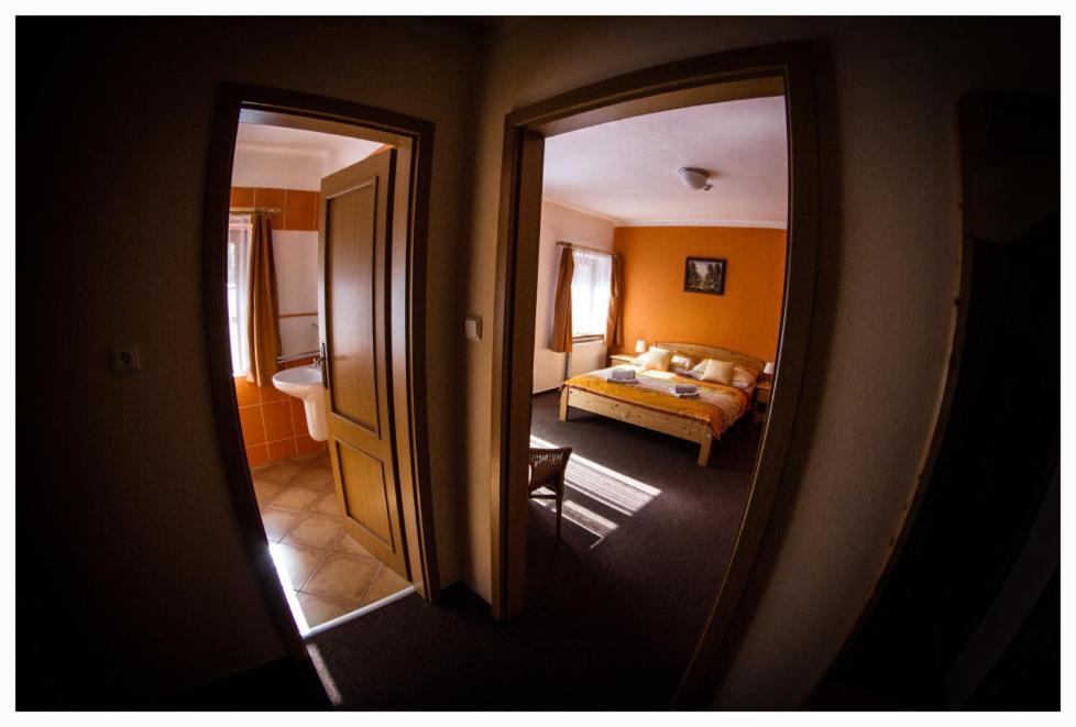 Horsky Hotel Snezenka Hyncice pod Susinou Exterior photo