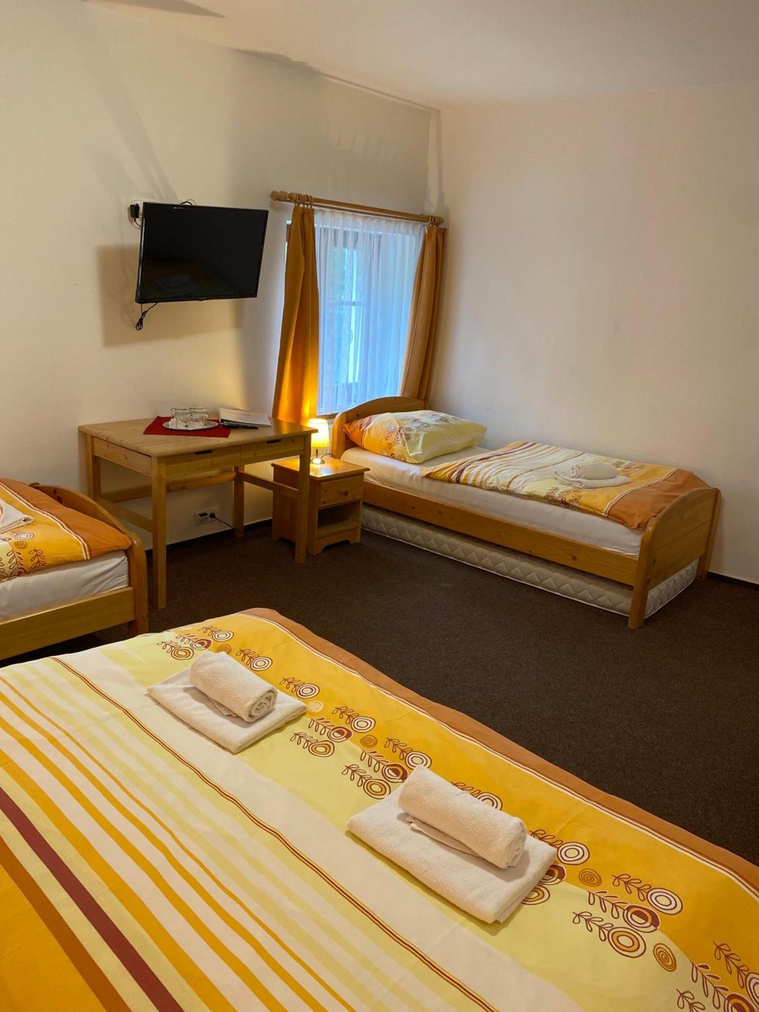 Horsky Hotel Snezenka Hyncice pod Susinou Exterior photo