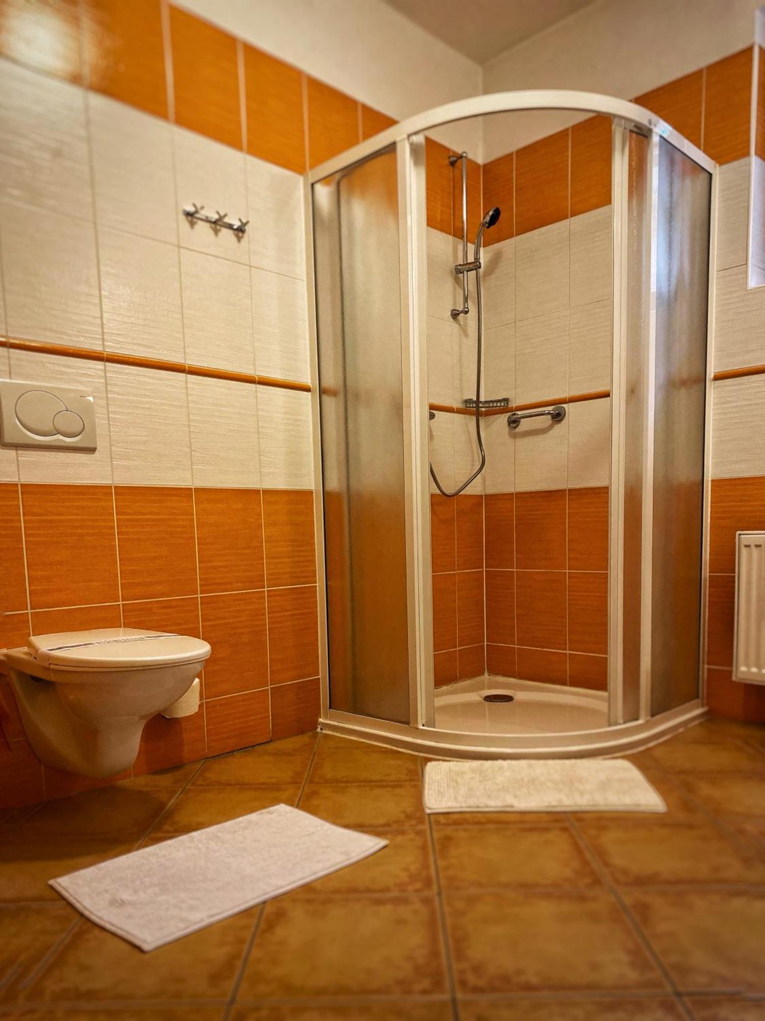 Horsky Hotel Snezenka Hyncice pod Susinou Room photo