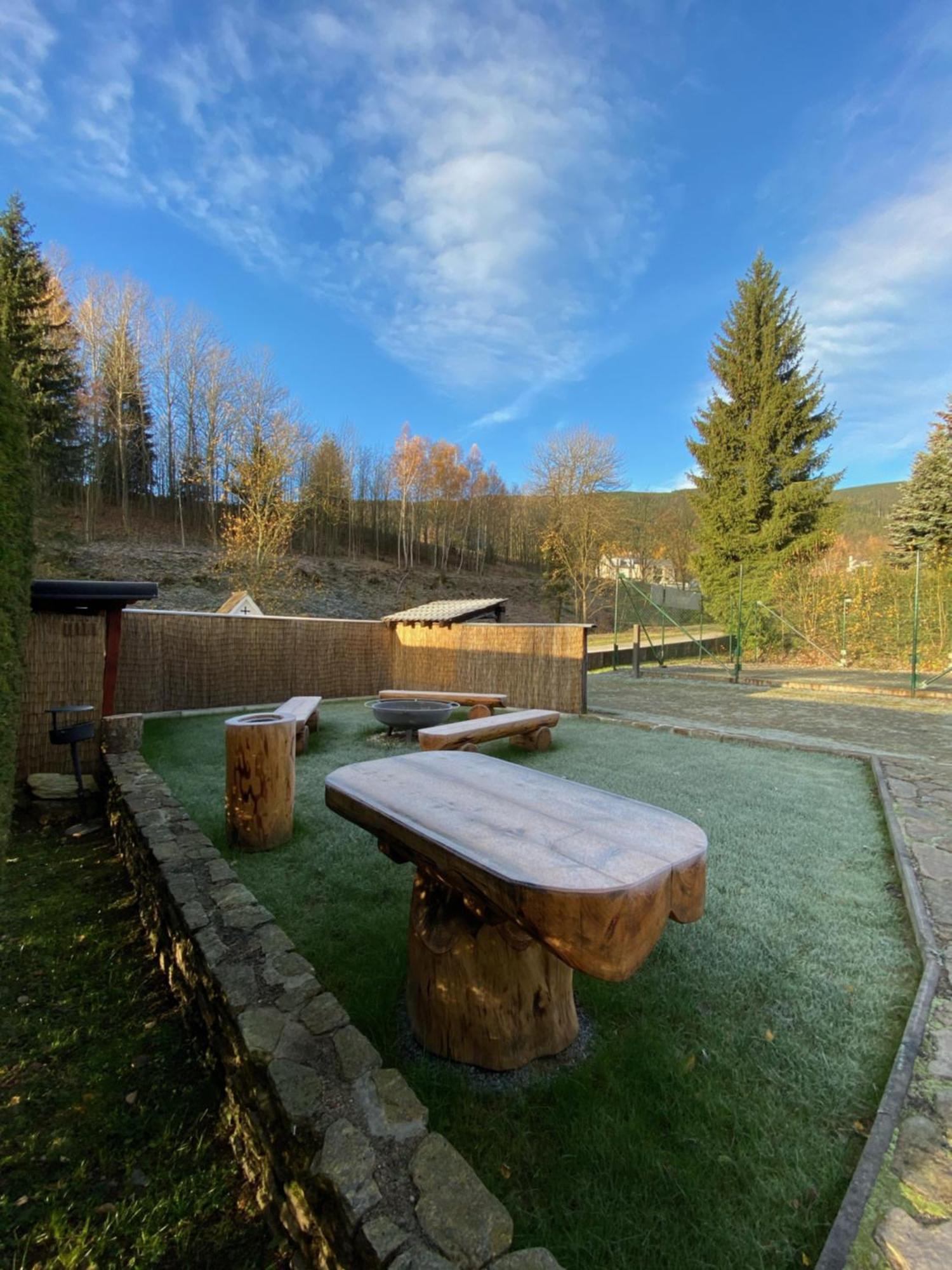 Horsky Hotel Snezenka Hyncice pod Susinou Exterior photo