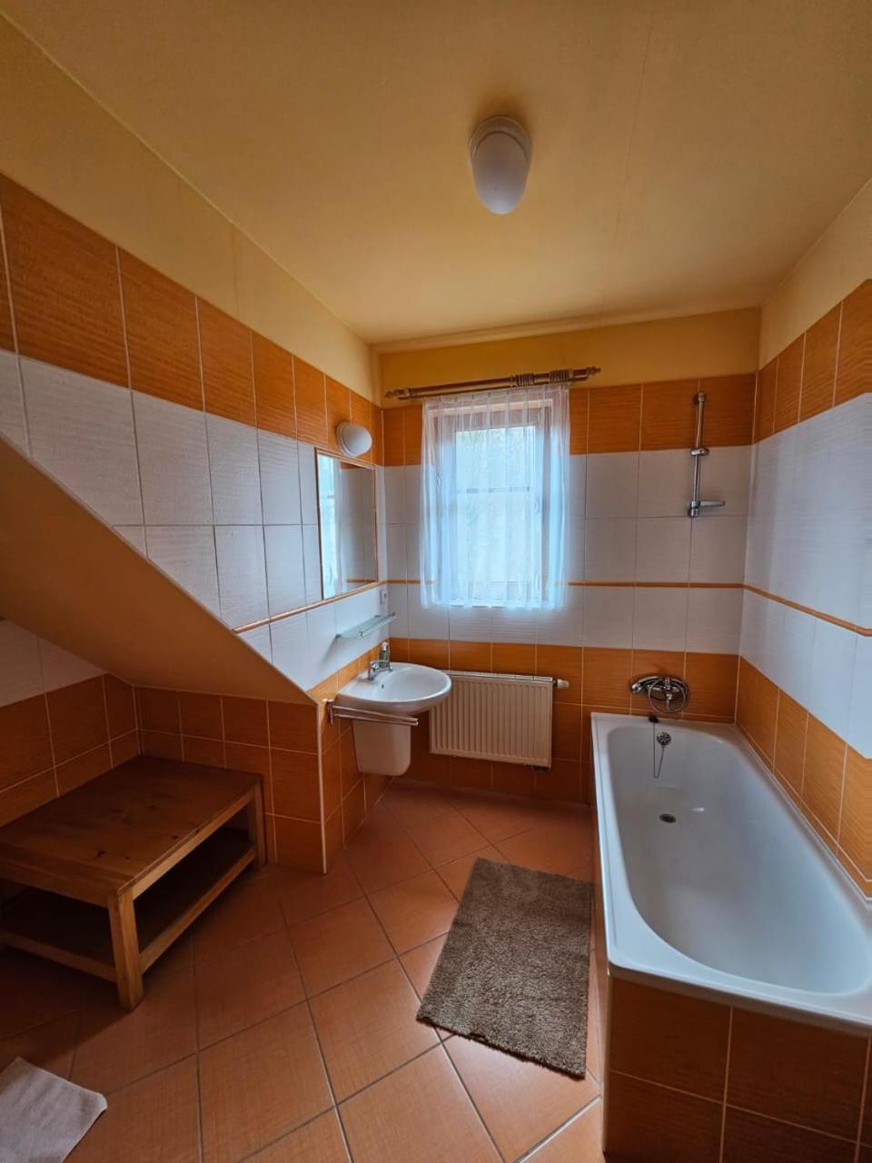 Horsky Hotel Snezenka Hyncice pod Susinou Exterior photo