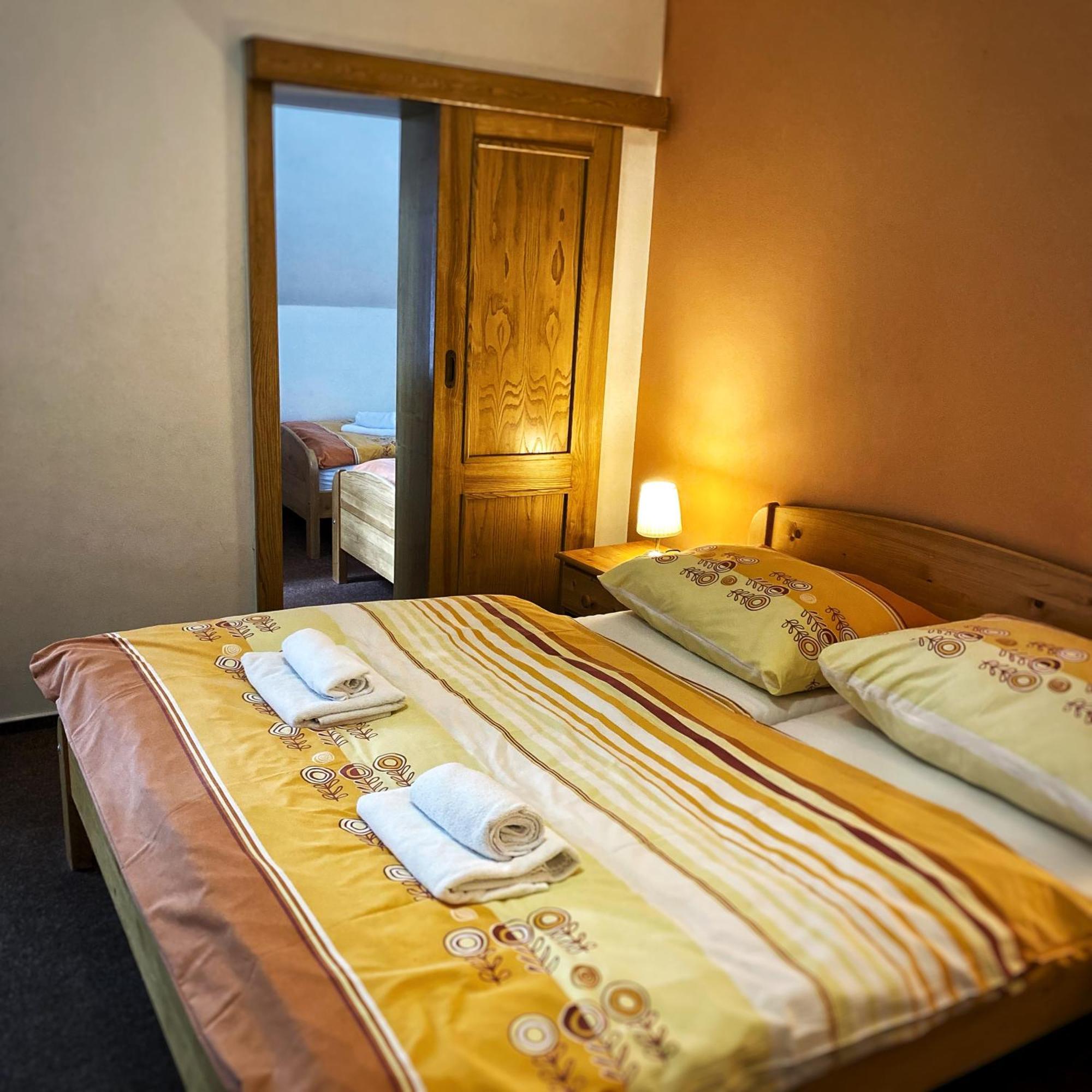 Horsky Hotel Snezenka Hyncice pod Susinou Exterior photo