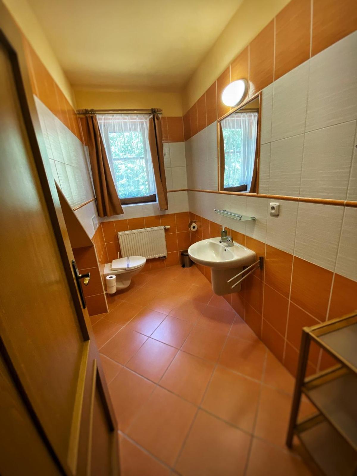 Horsky Hotel Snezenka Hyncice pod Susinou Exterior photo