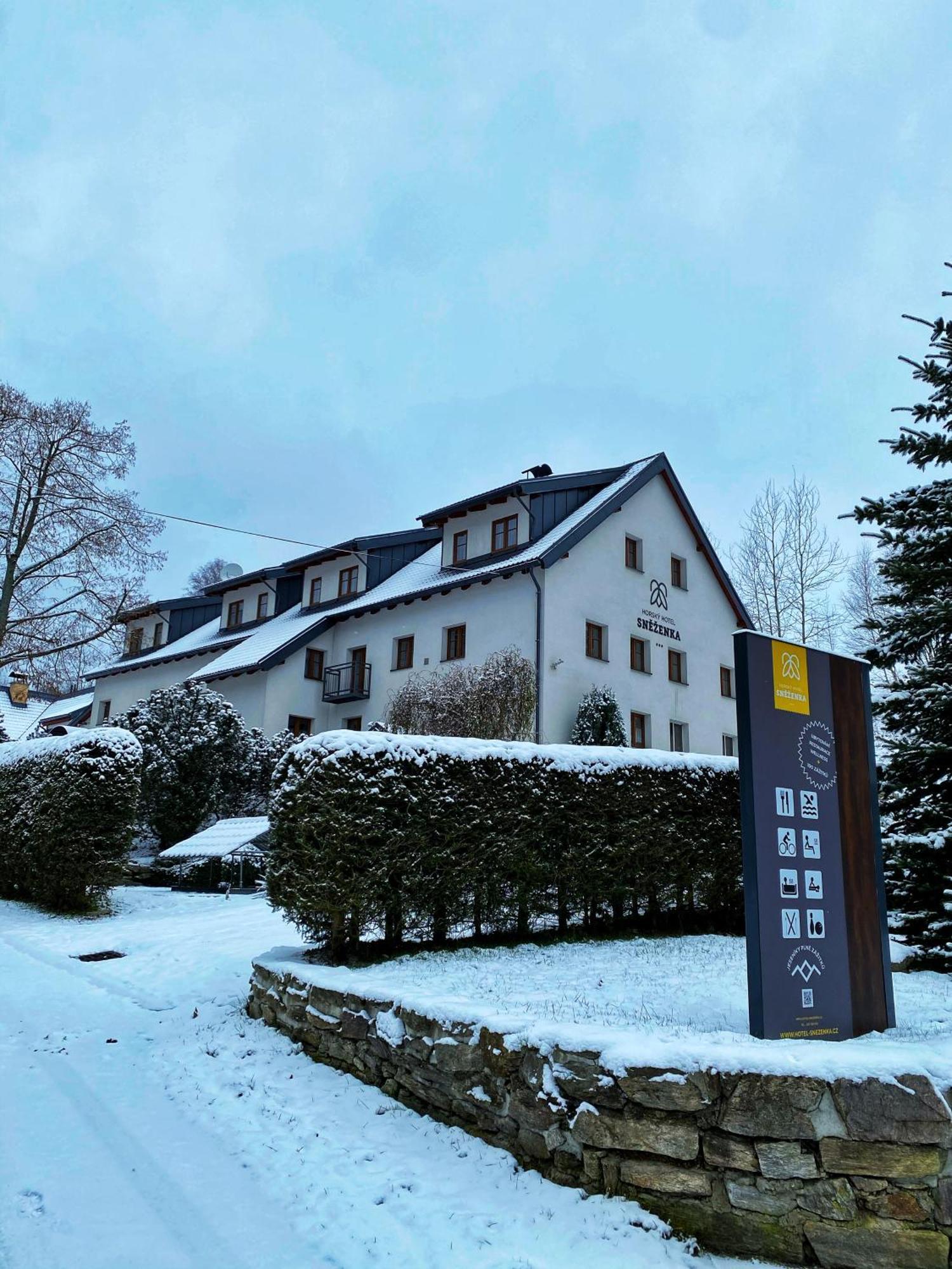 Horsky Hotel Snezenka Hyncice pod Susinou Exterior photo